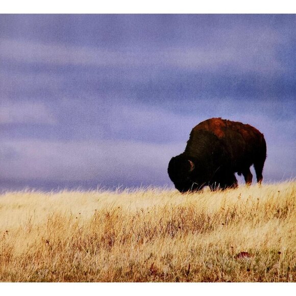 2021 48 Whispers SIGNED 1st Edition Lakota Pine Ridge Reservation Photography F7 - Picture 5 of 9